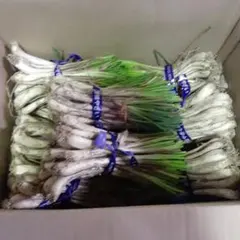 沖縄県産♪島らっきょう6.5㎏② - メルカリ
