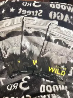 Item thumbnail for item 4a27a471-0c66-4310-b159-30668ce0e5e0