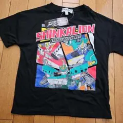 Item thumbnail for item 7d07f4ba-3b3b-4927-9c56-a49ee3020ae4