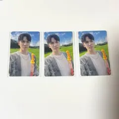 SEVENTEEN 消費期限 会場限定 バーノン トレカ 3枚セット