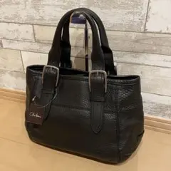 【未使用に近い】コールハーン ハンドバッグ レザー シボ革 タグ付 2way