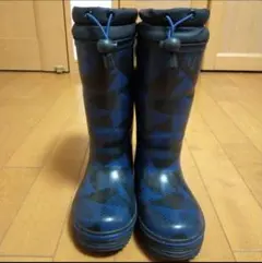 Item thumbnail for item 19b27d17-089d-418e-809b-31353dd3cd94