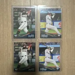 Item thumbnail for item 79514746-9ee7-494f-8b90-096c1ad18e15