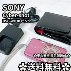 2026年最新】dsc-wx30 ピンクの人気アイテム - メルカリ