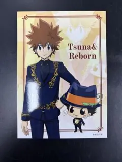 家庭教師ヒットマンREBORN！ 沢田綱吉 リボーン ブロマイド