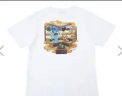 ぽけもんせんと〜 ソーナンス＆マグマッグ Tシャツ ポケモン