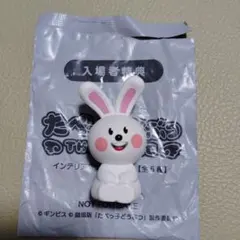 たべっ子どうぶつ 映画 うさぎ