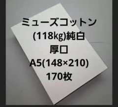 Item thumbnail for item 431ab308-8280-4b64-a487-d1ce189cb612