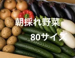 新鮮野菜詰め合わせ 旬の野菜セット　80サイズのサムネイル
