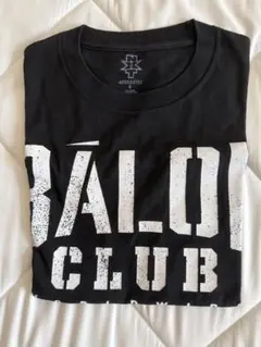 WWE NXT フィン・ベイラー フィギュア プリンス・デヴィット 20141220nxt1.JPG