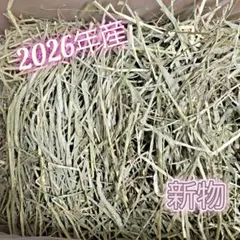 チモシー 10kg ウサギ モルモット うさぎ デグー チンチラ １番刈り 餌