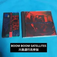 BACTERIA / CELL DIVISION 【貴重盤】