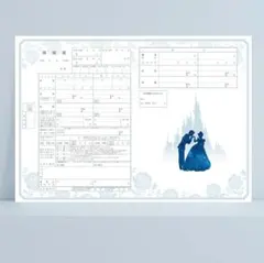 あこちゃん様 リクエスト 2点 まとめ商品