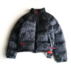 THE NORTH FACE NUPTSE ヌプシ ダウンジャケット