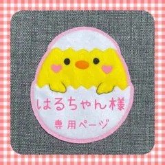 はるちゃん様専用ページ　フェルト名札　ワッペン