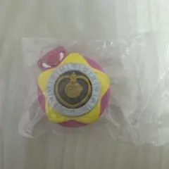 プリキュアオールスターズ　ミニチュアライトセレクション　スターカラーペンダント