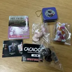 カカオキャット