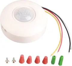 Item thumbnail for item e33a8f43-b2f3-4ce1-af38-b496337d1456