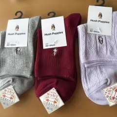 Hush Puppies ソックス 22〜24cm 3足セット