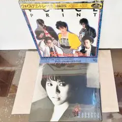 レベッカ／LPレコード2枚セット『ナッシング•トゥ•ルーズ』『ヴォイスプリント』