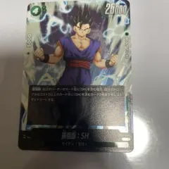 ドラゴンボールカード 悟飯 バトルカード