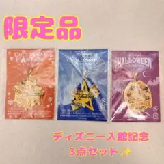 【限定品】ディズニー キーホルダー