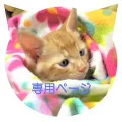 【asics　A77】　アシックス　EZL926　ポロシャツ　黒　O　メンズ