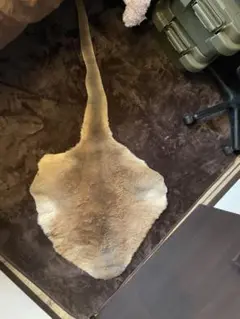 革