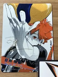 2025年最新】日向翔陽 極の人気アイテム - メルカリ