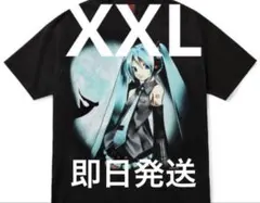 2026年最新】GEEKS RULE 初音ミクの人気アイテム - メルカリ