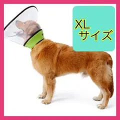 Item thumbnail for item 620cf89f-d809-4ef6-af41-fa33b37b8ff7