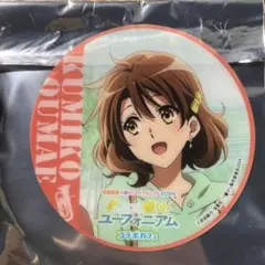 2025年最新】黄前久美子 缶バッジの人気アイテム - メルカリ