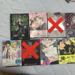 商業 BL漫画 まとめ売り 11冊 （1冊のみ小説）