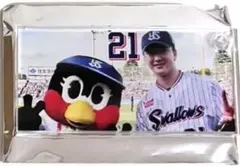 ヤクルトスワローズ　アクリルプレート　吉村貢司郎選手