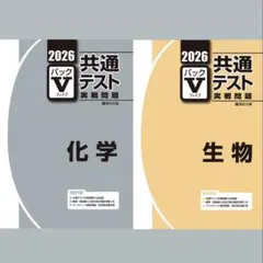 ケンサン様 リクエスト 2点 まとめ商品