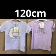 新品　未使用　すみっこぐらし　Tシャツ 120 cm 2枚セット