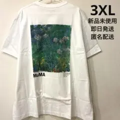 ▪️希少▪️ MoMA アート・アイコンズ UT モネ 3XLサイズ Tシャツ