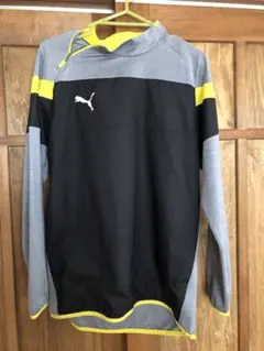 Item thumbnail for item 77db2958-a343-4a49-9d7c-4b42218e4d45