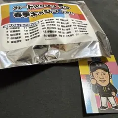 ソフトバンクホークス