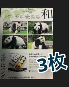 2025年最新】和歌山白浜アドベンチャーワールドの人気アイテム