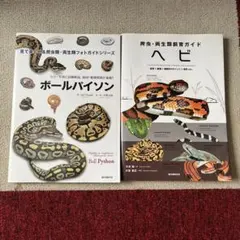 PERFECT BALL PYTHON パーフェクトボールパイソン - メルカリ