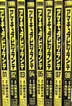 アマチュアビジランテ 1-8巻 全巻セット 内藤光太郎 浅村壮平