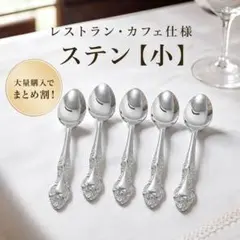 ステン　ティースプーン　５本セットのサムネイル