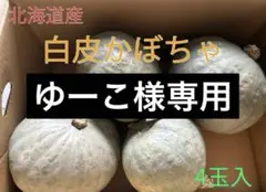 【ゆーこ様専用】北海道産白皮かぼちゃ（白九重栗）4玉入約10kg