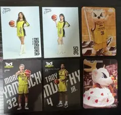 サンロッカーズ　トレーディングカード　計６枚