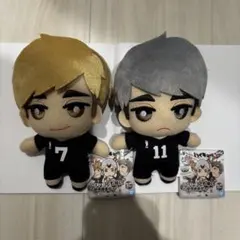 ハイキュー‼︎ ちみっともぬい 宮兄弟 宮侑宮治 セットまとめ キキララ
