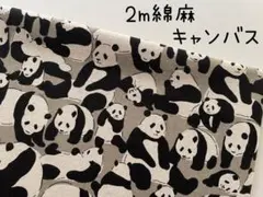 2m　パンダ　動物　アニマル　綿麻キャンバス　セブンベリー　グレー　10A