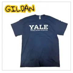 GILDAN YALE Tシャツ 2024 ネイビー 【M】