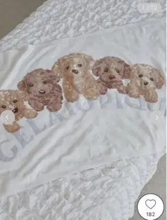 ジェラートピケ　トイプードルジャガードブランケット　毛布　膝掛け　わんちゃん ジェラートピケ トイプードルジャガードブランケット 毛布