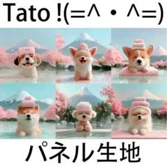 Tato !(=^・^=)パネル生地 富士山の温泉旅行 D19
